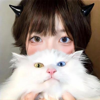 银狐