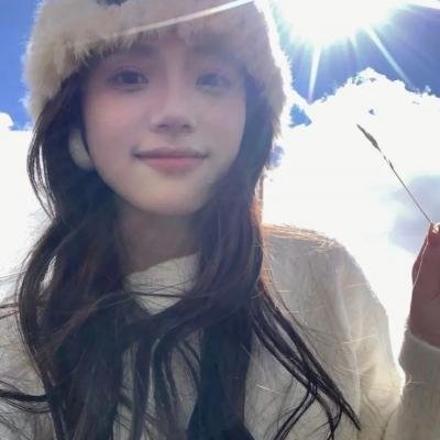 白鸥啊 不要飞起来